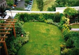 طراحی و اجرای روف گاردن (باغ بام ) و گرین وال ( دیوار سبز ) در جنوب کشور