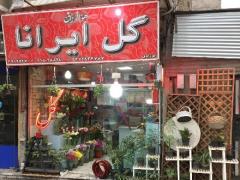 گل فروشی مشهد ( گل ایرانا