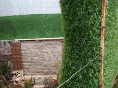فنس دیواری سبز