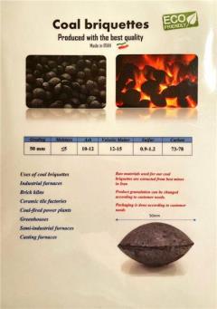 فروش بریکت حرارتی (Coal Briquettes) decoding=