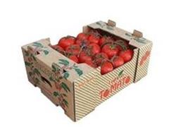 انواع جعبه میوه های صادراتی و فروش