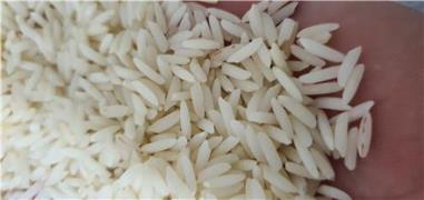 برنج هاشمی اصل فوق اعلا