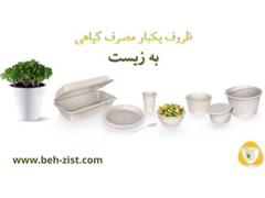 اعطای نمایندگی‌ ظروف گیاهی به زیست در استان