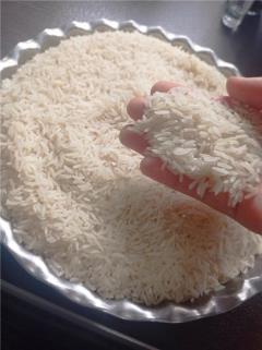 برنج فجر اعلاء کلاله
