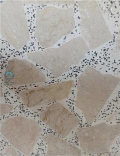 موزاییک لاشه رومی زمینه سفید سنگ خاشخاشی