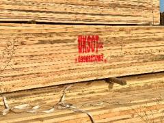 فروش چوب روسی ساسنا عمده و جزئی