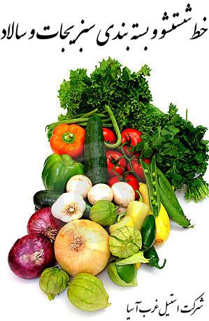 فروش خط شستشوی سبزیجات ، سالاد ، میوه و بسته بندی WASI