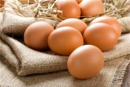 فروش تخم نطفه دار مرغ بومی