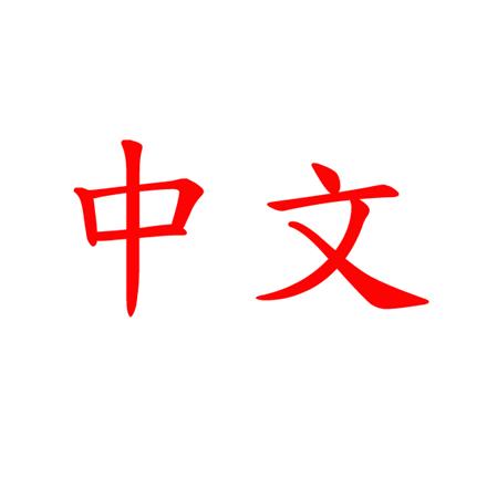 مترجم فنی زبان چینی (فارغ التحصیل از چین)
