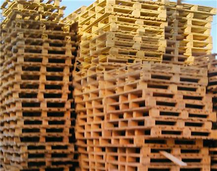 فروش پالت های چوبی 110.130 دست دوم در حد نو