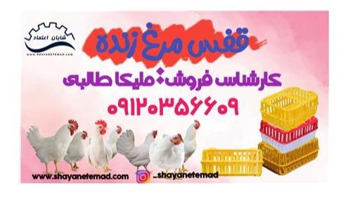 فروش سبد مرغ زنده , سبد مرغی