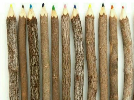 مداد رنگی چوبی