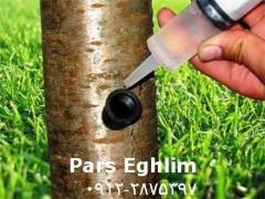 تزریق مستقیم کود کامل به تنه انواع درخت