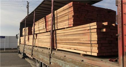 تامین کننده چوب راش گرجستان