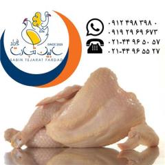 تامین و عرضه گوشت مرغ منجمد و تازه ایرانی سابین تجارت