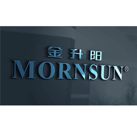 محصولات مورن سان پاور (Mornsun Power)