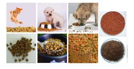خط تولید غذای حیوانات خانگی