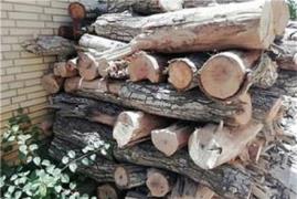 برق صنعتی صنایع چوب بری در کرج