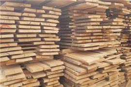 فروش چوب طبیعی