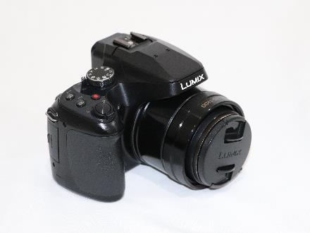 دوربین عکاسی پاناسونیک مدل FZ80