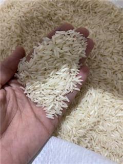 فروش برنج محلی