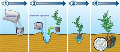 سوپر جاذب کشاورزی - کاهش آب آبیاری - نانو - تولید و