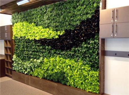 طراحی و اجرای دیوار سبز