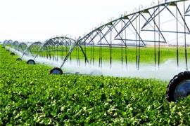 شرکت رتبه 5 آب و کشاورزی واگذار