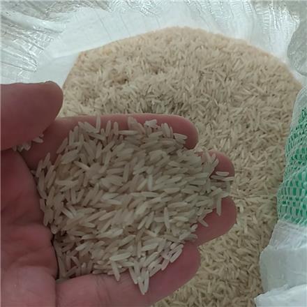 برنج پرمحصول گیلانه