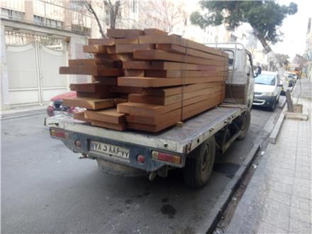 فروش چوب ساج برزیلی red