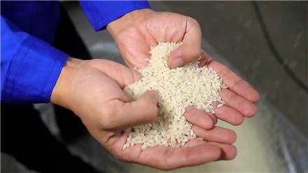 خط تولید برنج با ظرفیت‌های 100 تا 50۰ کیلو در ساعت