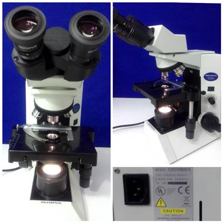 مرکز خرید میکروسکوپ بیولوژی دو چشمی الیمپوسCX31