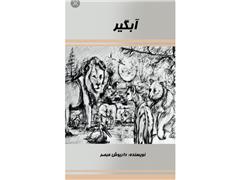 کتاب آبگیر نوشته داریوش مبصر