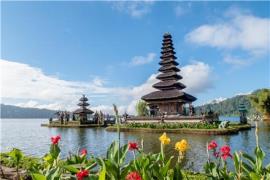تور اندونزی (  بالی )  با پرواز قطری اقامت در هتل The Anvaya Beach Resort Bali hotel 5