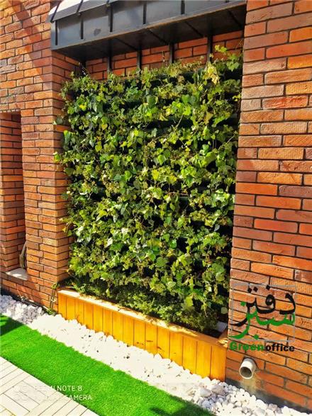 دیوار سبز / گرین وال / فضای سبز داخلی