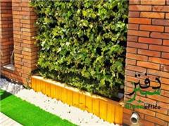 دیوار سبز / گرین وال / فضای سبز داخلی