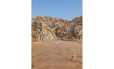خرید انواع ضایعات چوب و پشتی ، فروش و ارسال خاک اره چوب