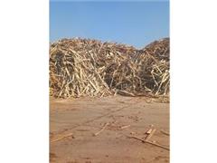 خرید انواع ضایعات چوب و پشتی ، فروش و ارسال خاک اره چوب