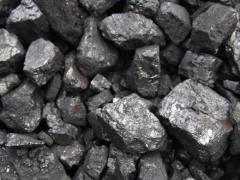 تولید و فروش انواع زغال