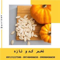 فروش مغز تخمه کدو مخصوص روغنگیری و فروش روغن کدو