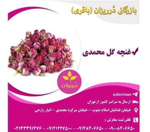 فروش عمده غنچه گل محمدی