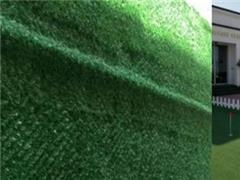 اجرای گرینوال (دیوار سبز) فنس
