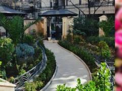 طراحی و اجرای فضای سبز و خدمات باغبانی مهران