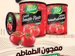 فروش رب گوجه صادراتی مولود