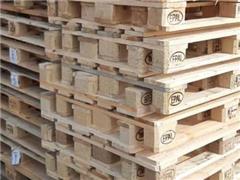 تولید و فروش پالت چوبی در تیراژ بالا decoding=