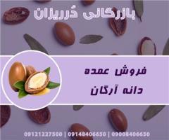فروش دانه آرگان مراکش