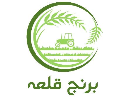 خرید و فروش انواع برنج ایرانی