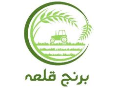 خرید و فروش انواع برنج ایرانی decoding=
