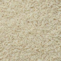 تامین کننده انواع برنج ایرانی (هاشمی- صدری-فجر)