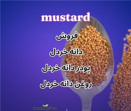 فروش دانه خردل و روغن خردل و پودر خردل